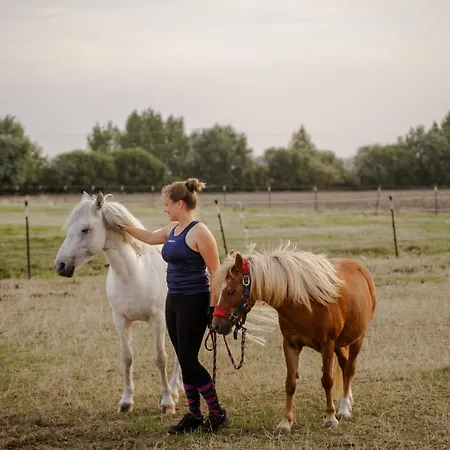 Nyaraló Reethaus 2b *