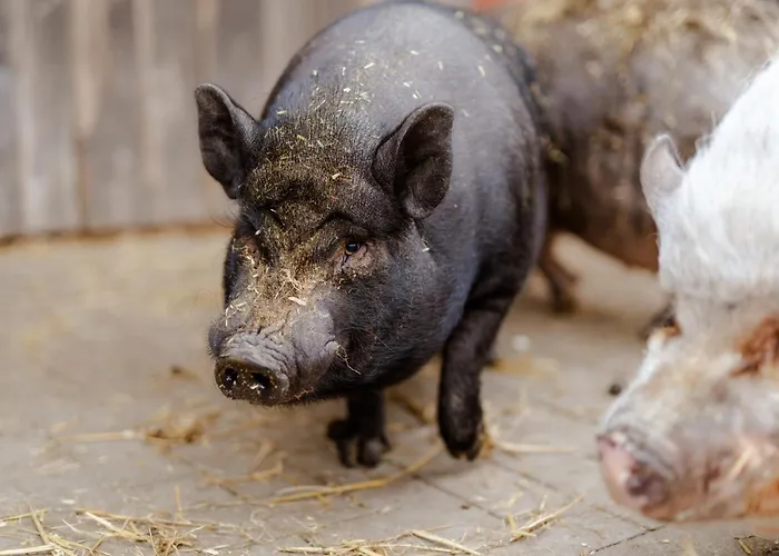 Reethaus 2b Casa de Férias Staberdorf