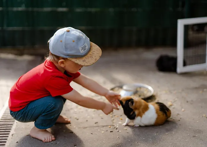 Reethaus 2b Casa de Férias Staberdorf