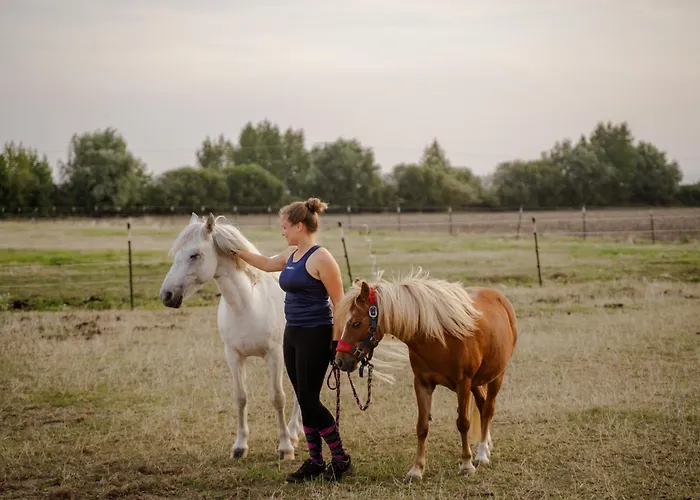 Casa de Férias Reethaus 2b *