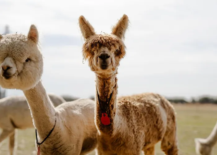 Reethaus 2b * Staberdorf