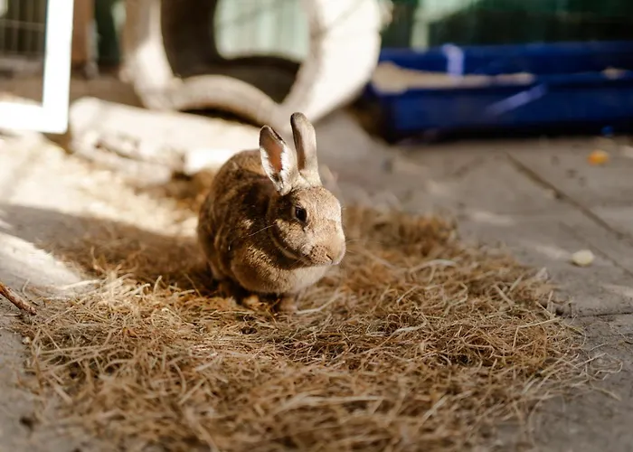 Reethaus 2b Casa de Férias