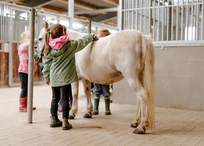 Casa de Férias Reethaus 2b *
