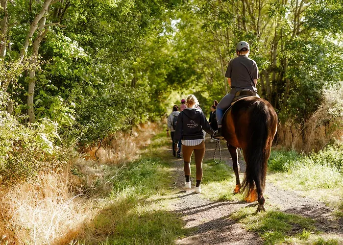 Reethaus 2b Staberdorf